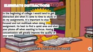 Slide 7